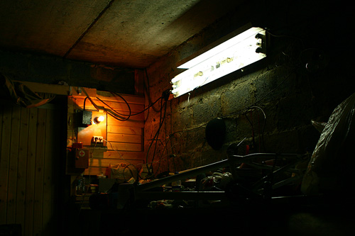 garage session / photo 2